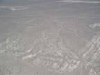 The Tree - Nazca Lines